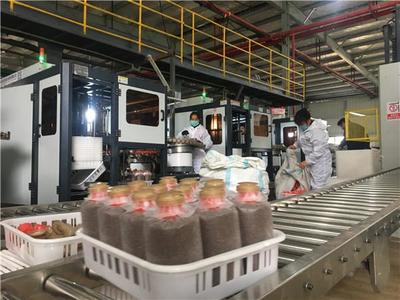 不負(fù)春光抓防疫保生產(chǎn)，關(guān)嶺食用菌產(chǎn)業(yè)馬力全開